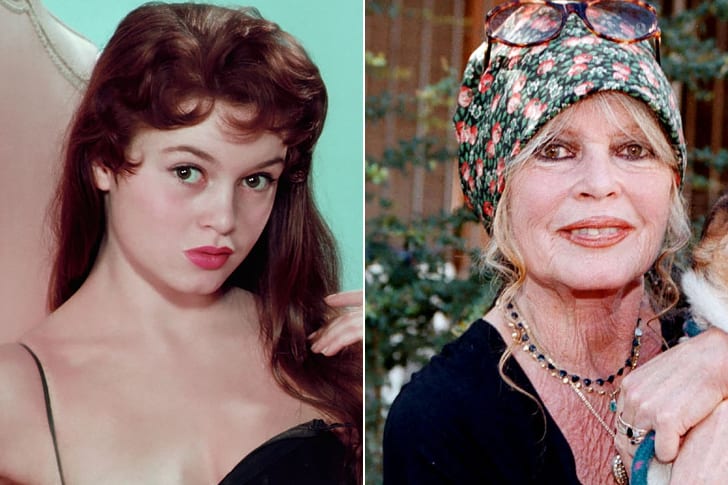 Weibliche Stars, die makellos gealtert sind und wunderschön aussehen! Brigitte Bardot – Alter 86 