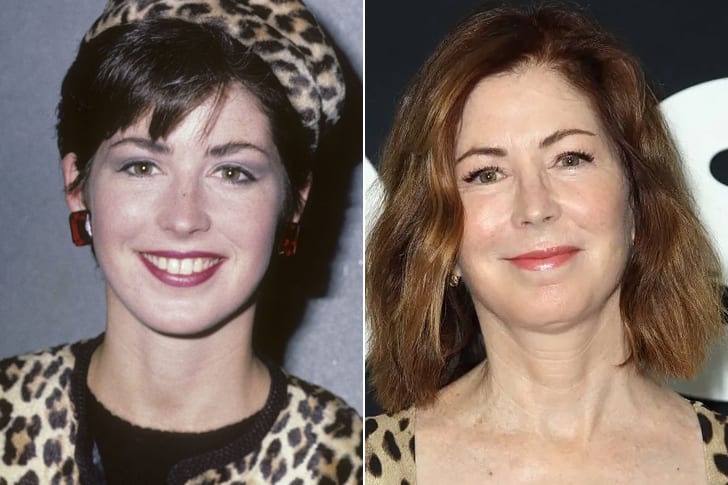 Celebs Who Totally Transformed Over The Years Dana Delany – Age 65