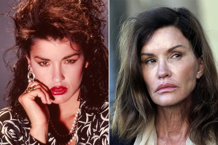 Celebs Who Totally Transformed Over The Years Janice Dickinson – Age 66