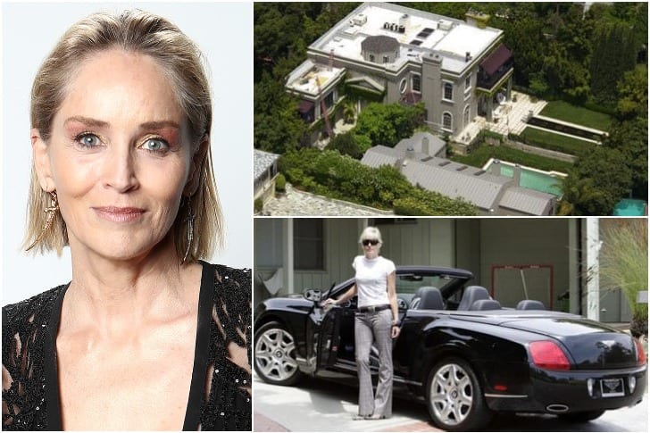 Sterren die tot de verbeelding spreken, wat zijn ze waard? Sharon Stone – $ 60 miljoen