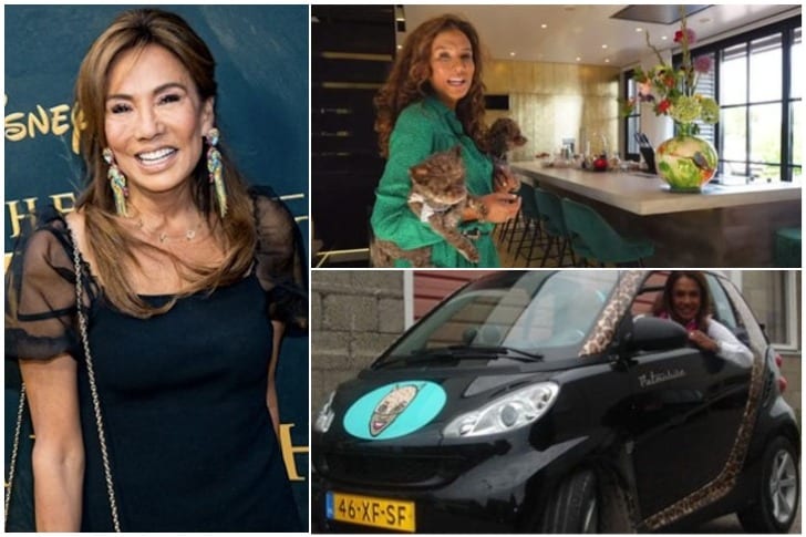 Sterren die tot de verbeelding spreken, wat zijn ze waard? Patty Brard – € onbekend