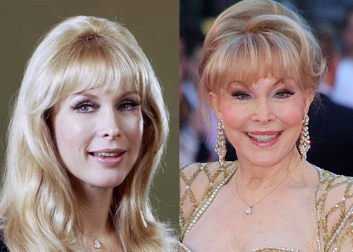 Anmutig altern – Diese Prominenten haben es geschafft, mit zunehmendem Alter besser zu werden Barbara Eden